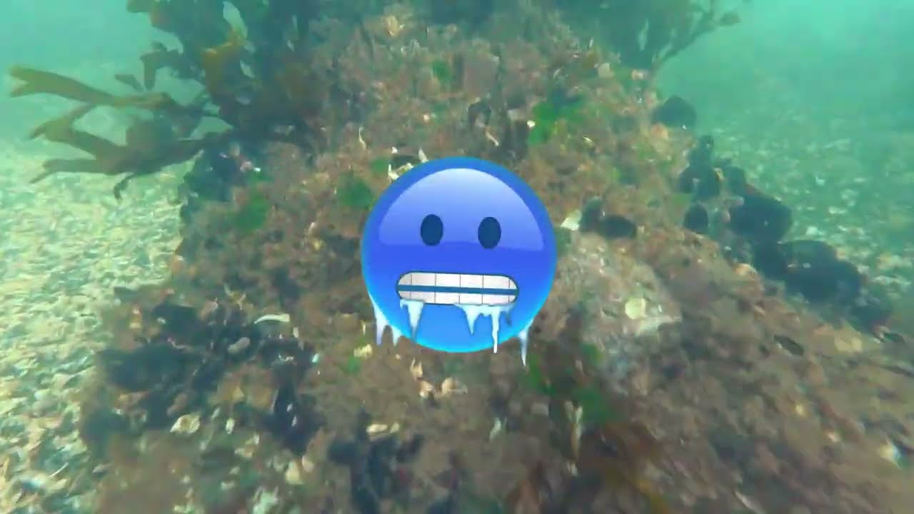 Skindiving in cold water