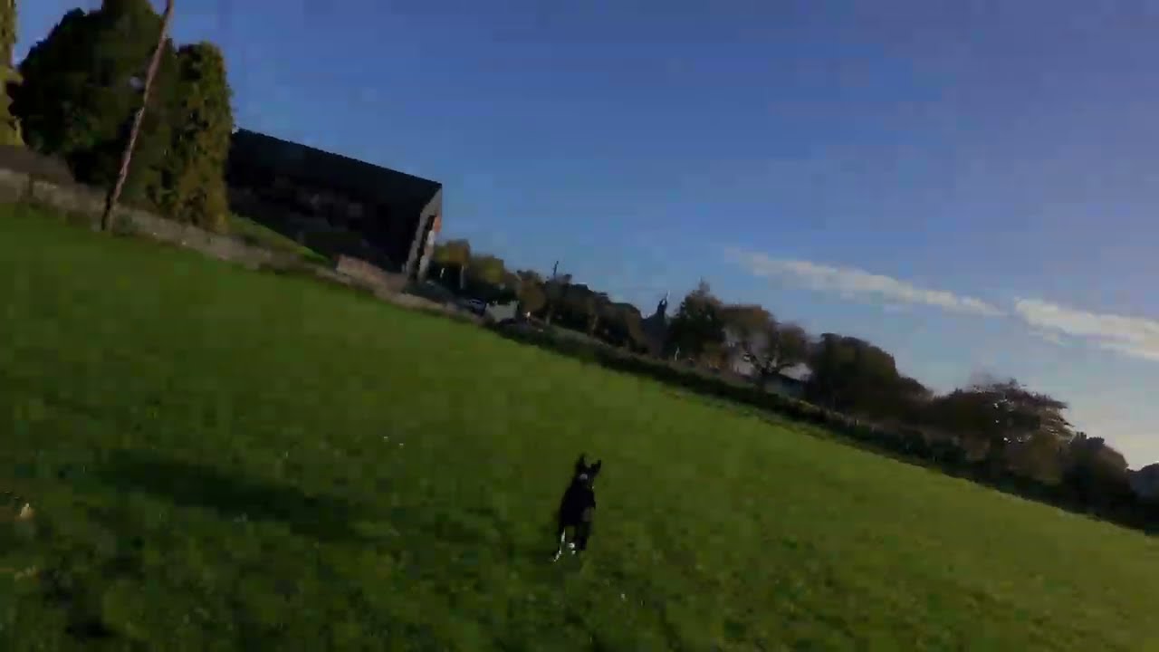 How I fly the Dji Neo 