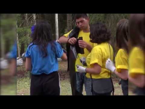 ბორჯომში მოხალისეებმა პლატოს ტყე დაასუფთავეს