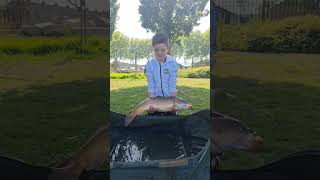 biggest carp in de rivier
