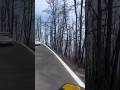 Waldbrände 🔥 auf Teneriffa | Was übrig bleibt 😔