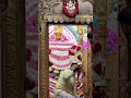 jai shree shyam baba 🙏 #viral #shyam #khatuwalashyam #youtubeshorts #love #khatu #motivation