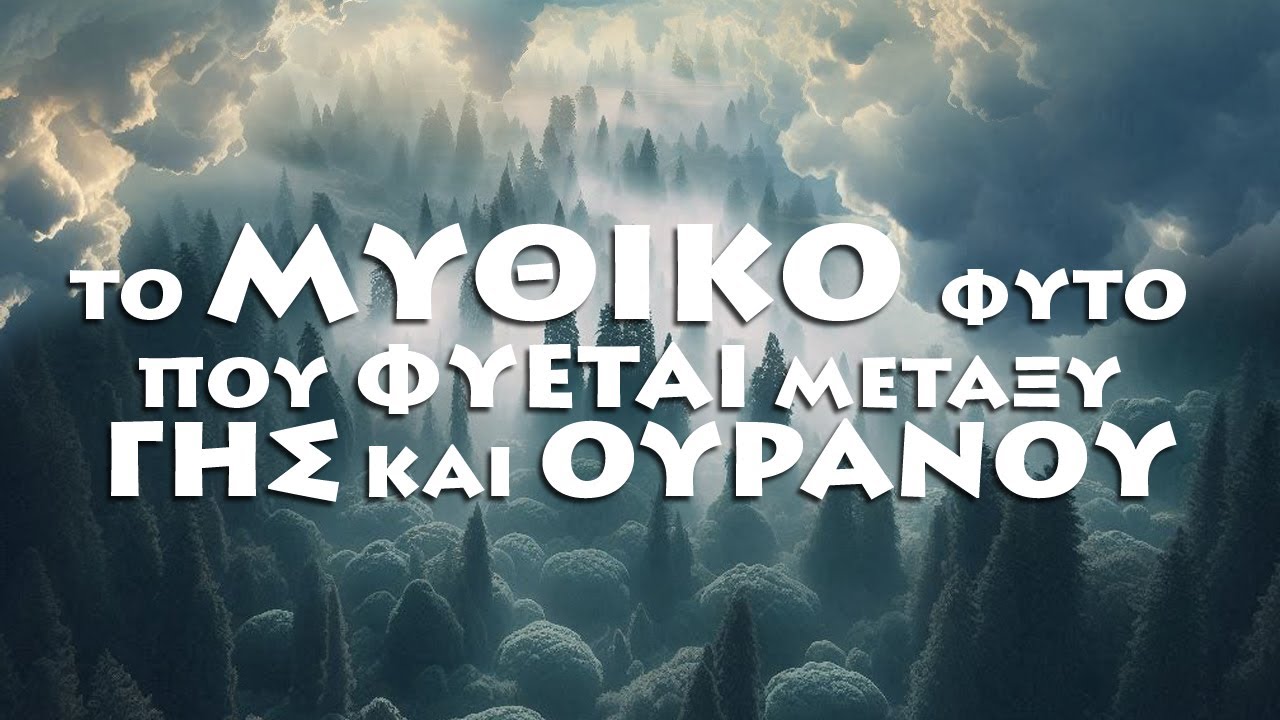 Το Γκι των Χριστουγέννων