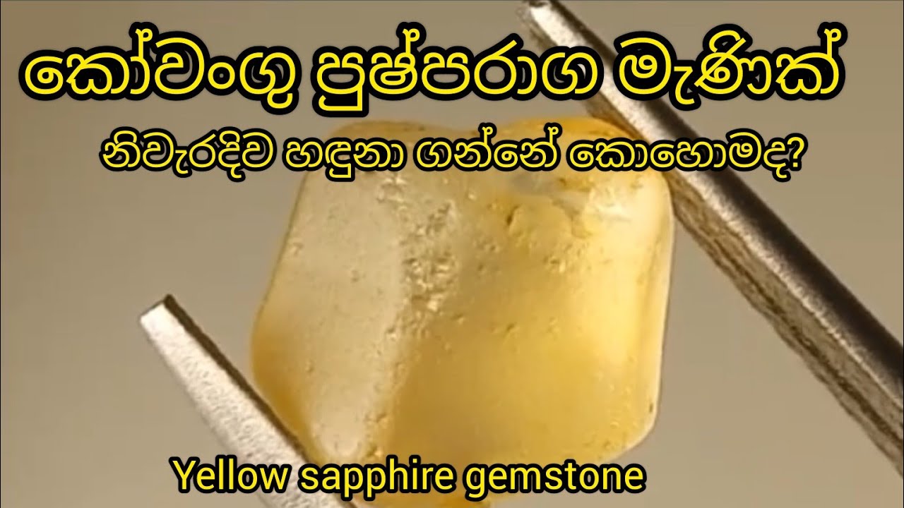 කෝවංගු පුෂ්පරාග වලින් ලාභ ලබන්න නම් මේ දේවල් ඉගෙනගන්න / yellow sapphire benefits 🇱🇰
