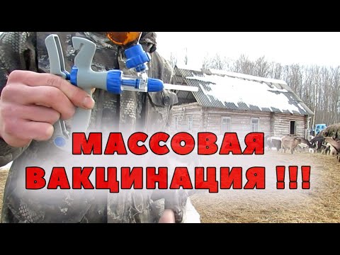 Шприц-вакцинатор для массовых