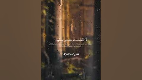 ﴿حَتّى إذا أتَوْا عَلى وادِ النَّمْلِ قالَتْ نَمْلَةٌ يا أيُّها النَّمْلُ🎧 القارئ أحمدالشواف 💙 روعه👌