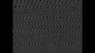 Zakończenie Programu I Obrazy Kontrolne. Program Pierwszy 08.06.1991