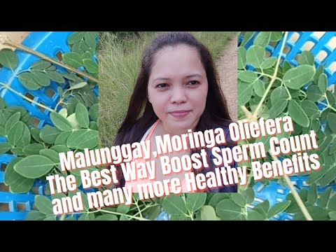 Malunggay The Best Way Boost Sperm Count(Moringa Oliefera)