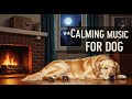Anxiety Relief for Dogs : 12 HOURS of Calming Music 🦴 | Promotes Relaxation & Deep Sleep