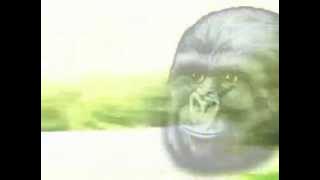 There is no need to be upset 1 hour version