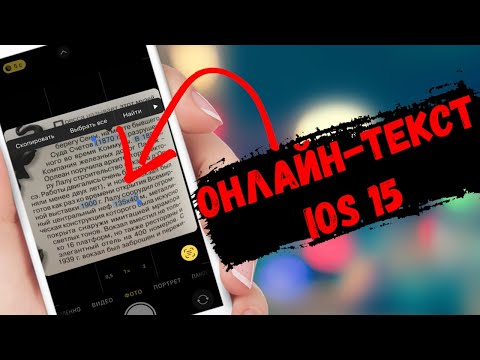 Как на iPhone с iOS 15 включить распознавание текста на фото. Онлайн-текст iOS 15!