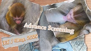 Advance screening - The newborns are here 🎉😍