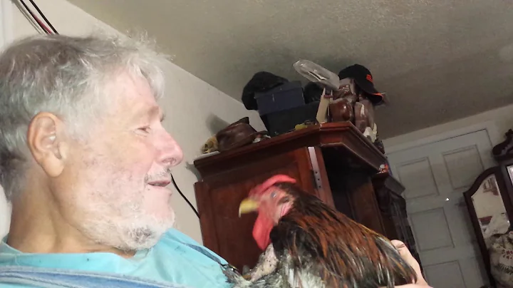Peppi Dorothy Harlan 07-23-2018 20180714 134906