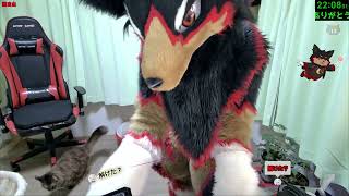 【Fursuit/獣化】火曜のまったりもふもふタイム🐶🐾 20260728【ジュージュー/JuuJuu】#freetalk #雑談 #furry #ケモノ #fursuit