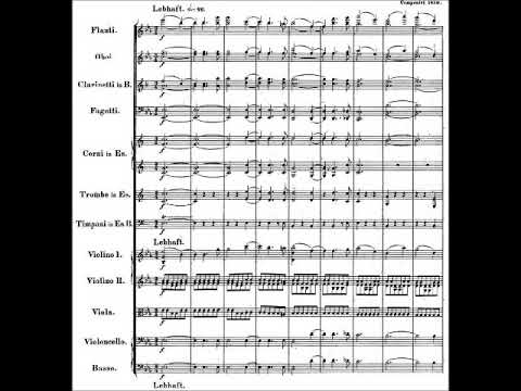 在 YouTube 上觀看「Schumann - Symphony No.3 'Rheinische' (1st mov.) - WSO, Hans Swarowsky」