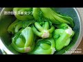 自家腌咸菜 (Homemade Salted Veg)