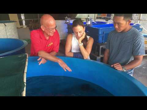 Maui Ocean Center Behind the Scenes Tour