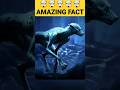 ये रहे 5 AMAZING FACTS| 5 AMAZING FACTS| #shorts #facts