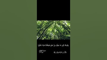 سورة الفرقان اية ٢٣ .