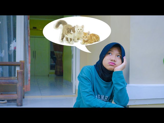 Kucing Dinda Hilang class=