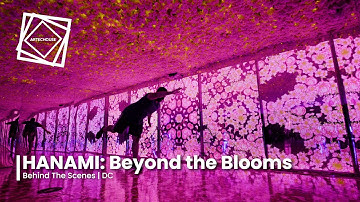 Hanami: Beyond The Blooms | Behind the Scenes