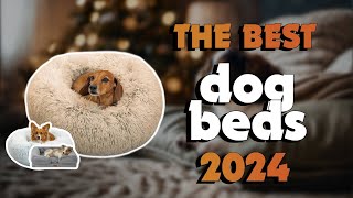 The Best Calming Dog Beds 2024 in 2024 - Must Watch Before Buying!