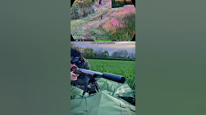 The Silent Assassin: .22LR Subsonic Rabbit Hunting | Close Range