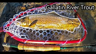 Fly Fishing Montana - Solo Float for WILD Gallatin River Trout!!