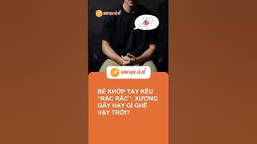 💥 Bẻ Khớp Tay Kêu "Rắc Rắc": Cơ Chế Khoa Học Về Âm Thanh Vỡ Bong Bóng Khí Trong Dịch Khớp  #shld