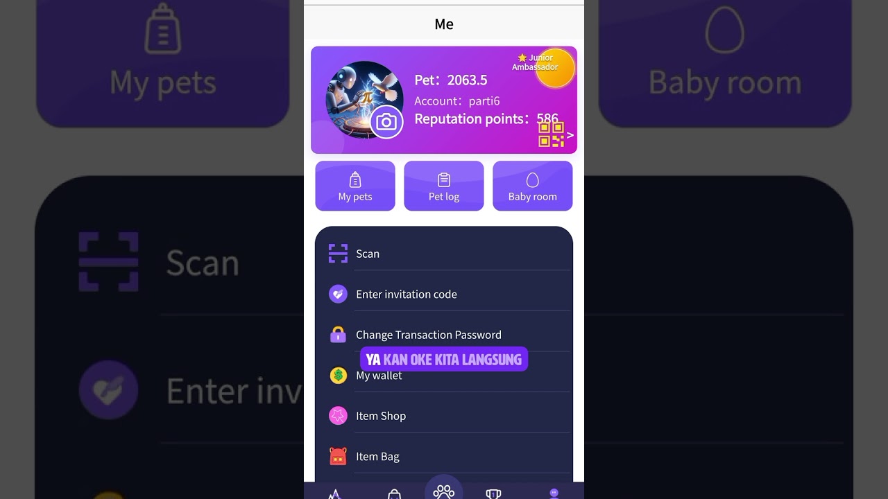 Pipet ekosistem Pi network 
