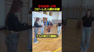 サルのポーズをコピーした人間の末路