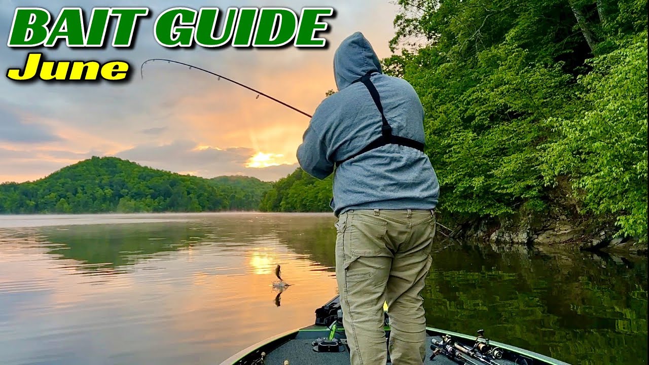 June’s BEST Baits for Catching Bass Everywhere