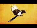 'Songbird ' - Jem & Troy Cassar-Daley (Bernard Fanning Cover) (Official Lyric Video)