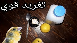 وصفة طبيعية للرفع من صوت تغريد الكناري و الحسون و الهجين