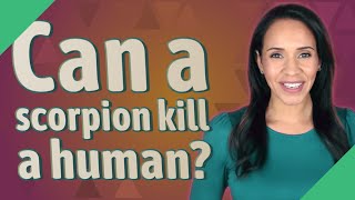 Can a scorpion kill a human?