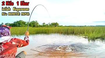 BENAR - BENAR GEMETAR  Pemancing ini Saat MANCING NILA BABON LIAR di PAPUA II Mancing Liar #MLP-56