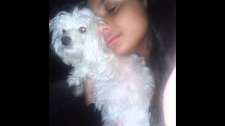 Bonitas Gostosas Cara De Cotocas