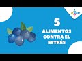 5 ALIMENTOS CONTRA EL ESTRÉS