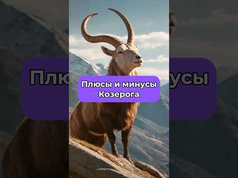 Плюсы и минусы Козерога ♑️ Ссылка на Телеграм в описании профиля✨#козерог