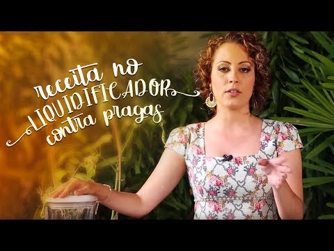 Receita caseira de detox para plantas: como acabar com as pragas