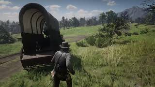 RDR 2 - After 600 Hours of Playing, I See It For The First Time
