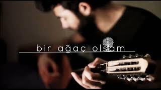 Bir ağaç olsam