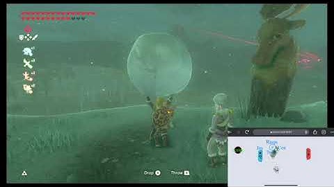 Using the raspberry pi in zelda BOTW and TOTK