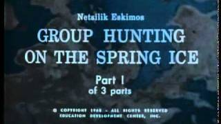 Group Hunting on the Spring Ice (1) - PREVIEW