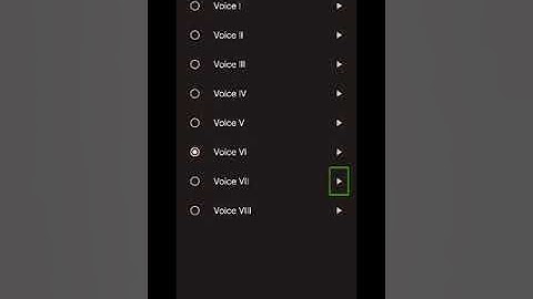 best collection Google TTS Hindi English Punjabi Urdu 2in1 clear fast voices my 1000th special video