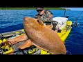 KAYAKER CATCHES GIANT FISH - real or fake?