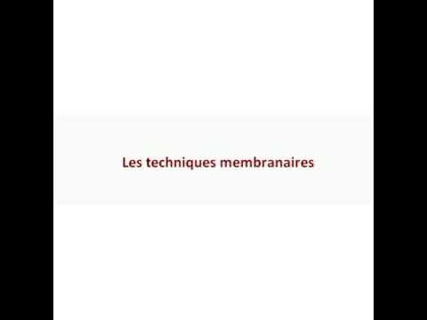 Vidéo: Nanocapteurs Basés Sur Des Vésicules De Polymère Et Des Membranes Planes: Une Brève Revue