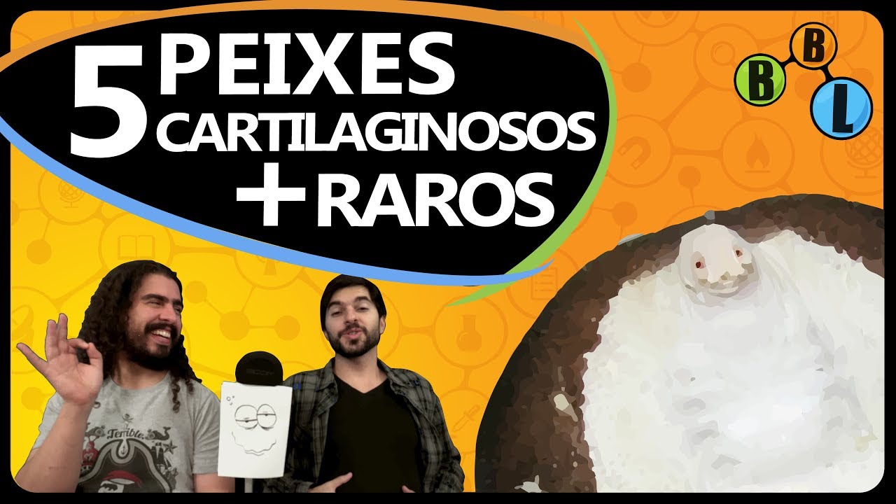 OS 5 PEIXES CARTILAGINOSOS MAIS RAROS DO MUNDO - Curiosity 31 | BláBlálogia