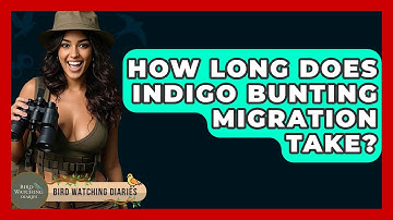 How Long Does Indigo Bunting Migration Take? - Bird Watching Diaries