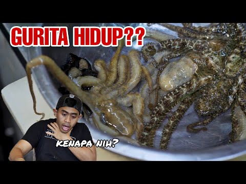 MAKANAN EKSTRIM GURITA HIDUP DARI KOREA!!